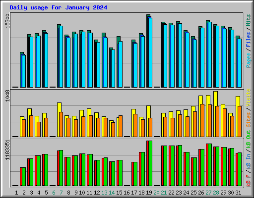 Daily usage for January 2024