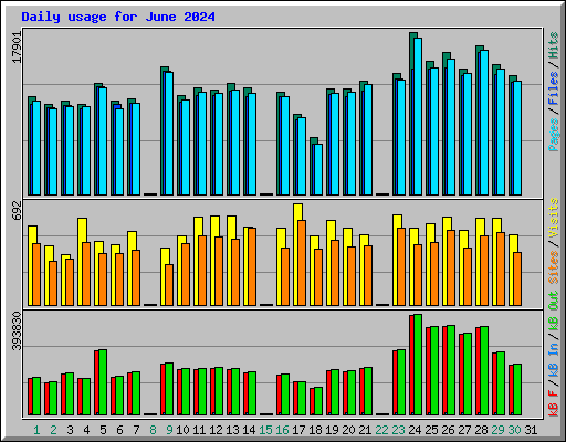 Daily usage for June 2024