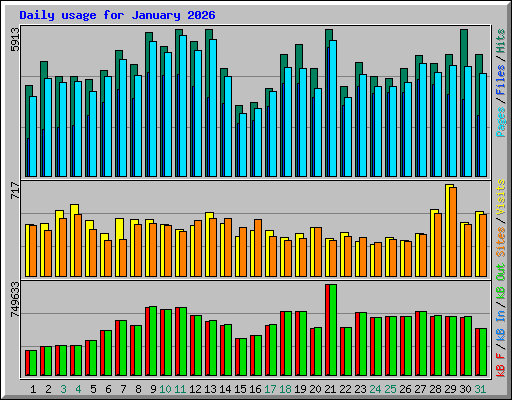 Daily usage for January 2026