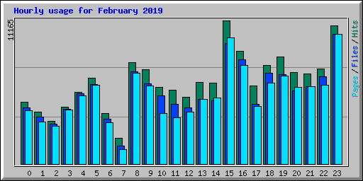 Hourly usage for February 2019