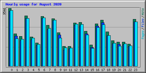 Hourly usage for August 2020
