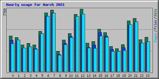 Hourly usage for March 2021