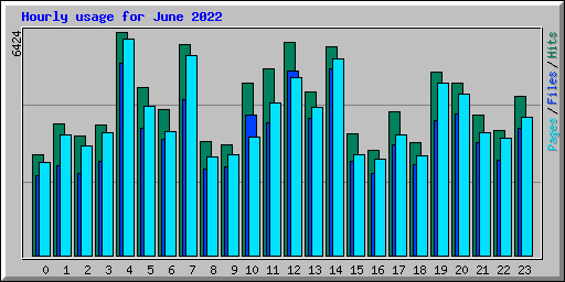 Hourly usage for June 2022