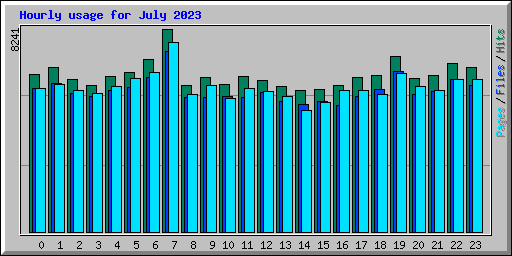 Hourly usage for July 2023