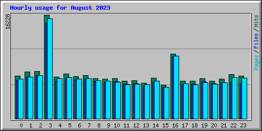 Hourly usage for August 2023
