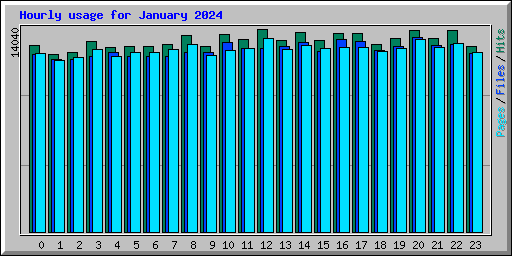 Hourly usage for January 2024