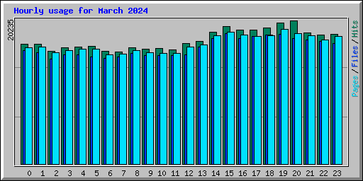 Hourly usage for March 2024
