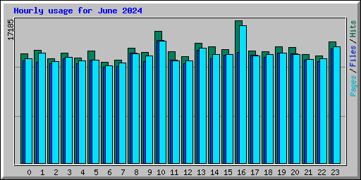 Hourly usage for June 2024