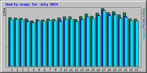 Hourly usage for July 2024