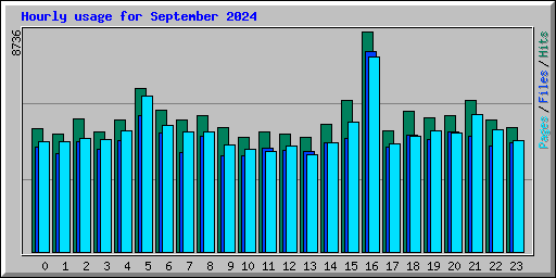 Hourly usage for September 2024
