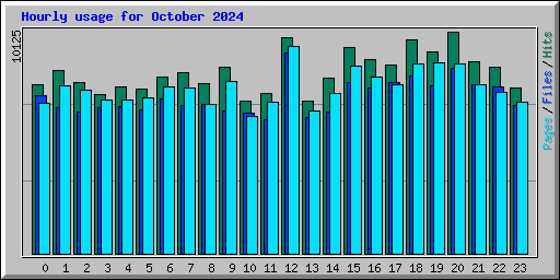 Hourly usage for October 2024
