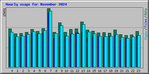 Hourly usage for November 2024