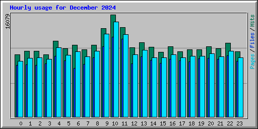 Hourly usage for December 2024