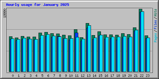 Hourly usage for January 2025