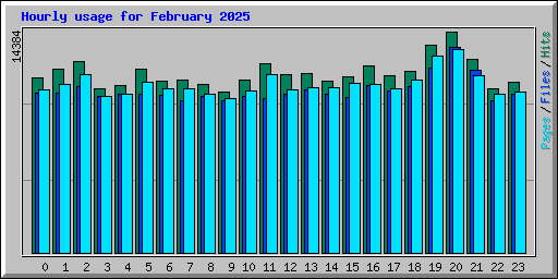 Hourly usage for February 2025
