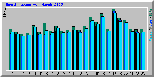 Hourly usage for March 2025