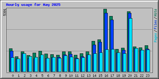 Hourly usage for May 2025