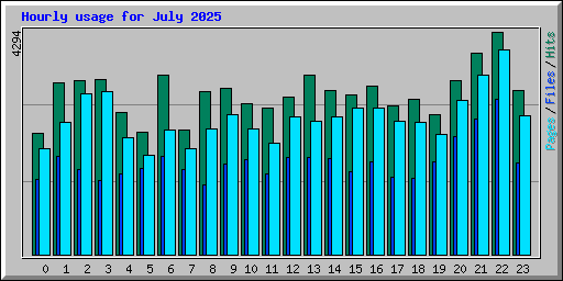 Hourly usage for July 2025