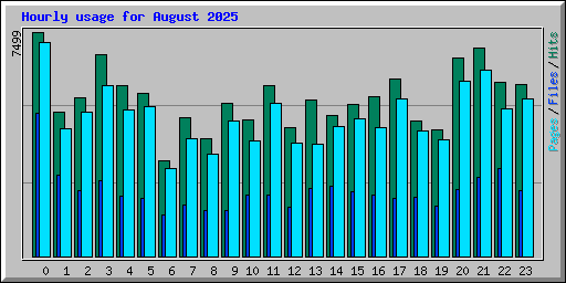 Hourly usage for August 2025