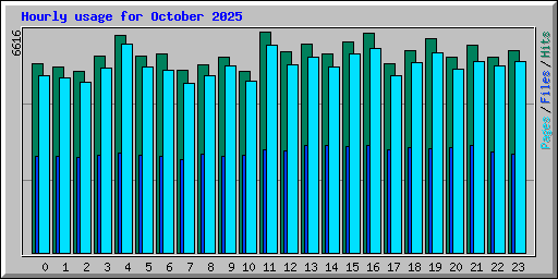 Hourly usage for October 2025