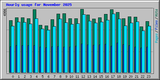 Hourly usage for November 2025