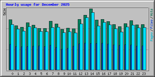 Hourly usage for December 2025
