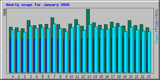 Hourly usage for January 2026