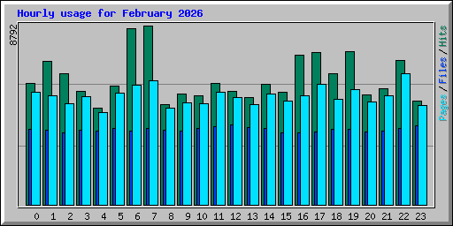 Hourly usage for February 2026